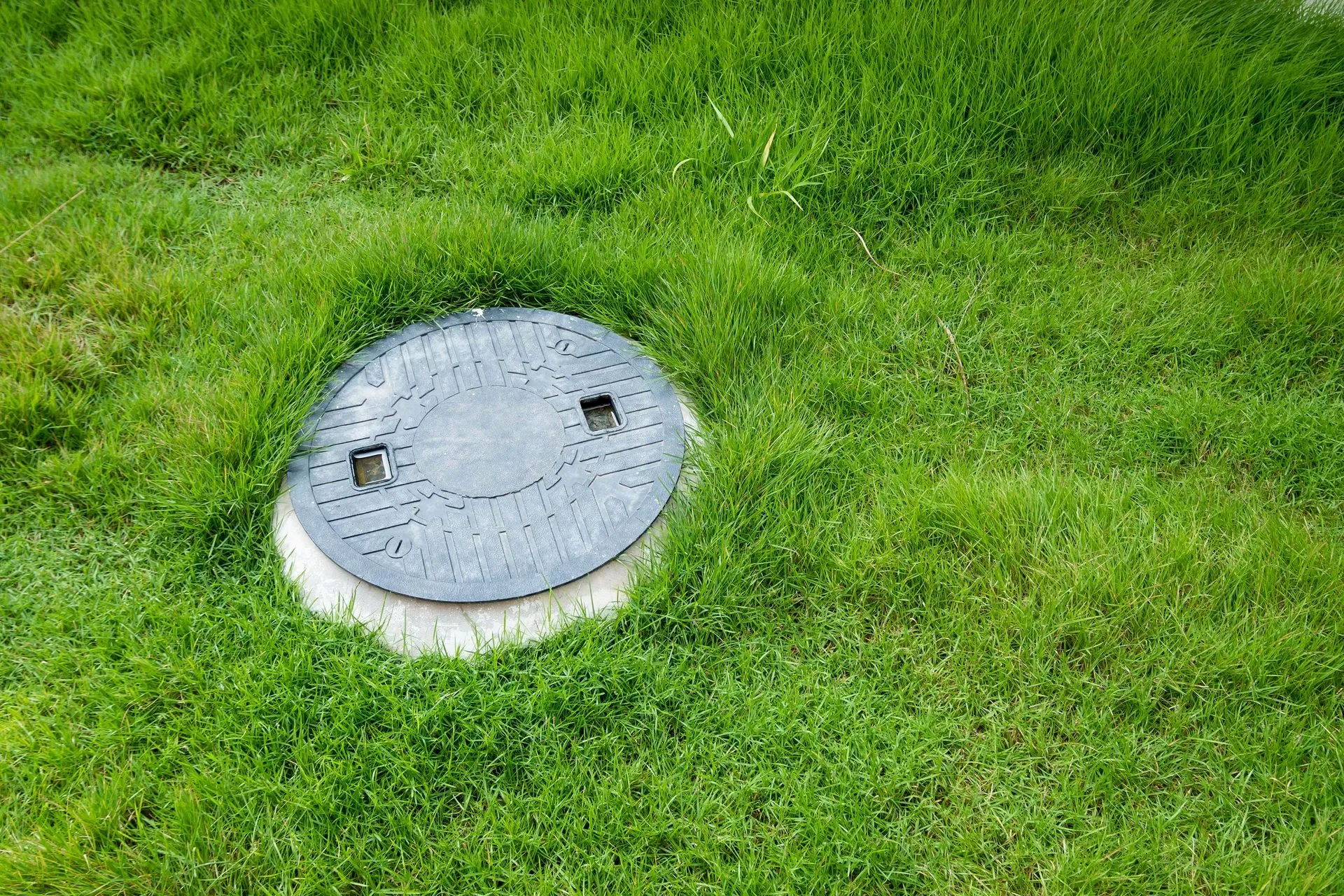 Wayne Pickle Septic Tank cover